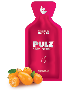 PULZ